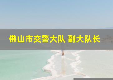 佛山市交警大队 副大队长